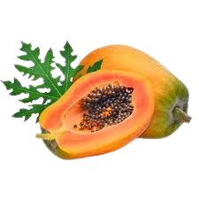 Fresh Papaya