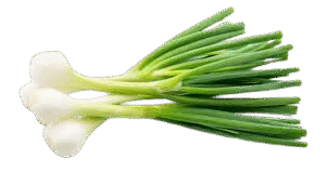 Green Onion 1Bunch