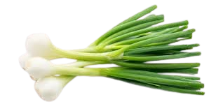 Green Onion 1Bunch