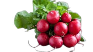 Red Radish