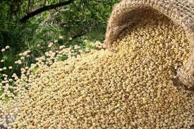 Quinoa 250g