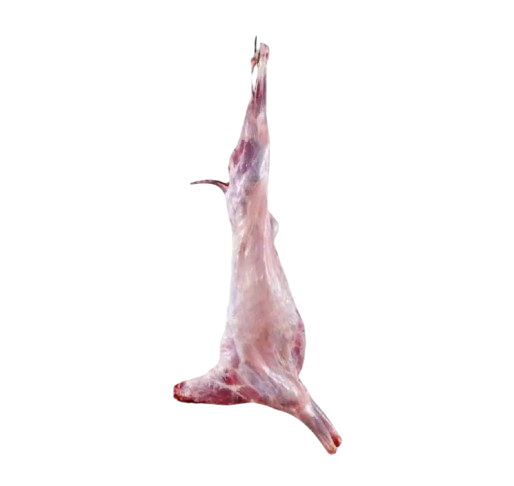 Mutton Carcass