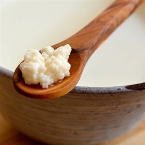 Active Milk Kefir Grains