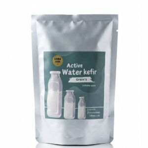 Active water Kefir Grains